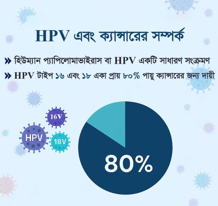 HPV টাইপ ১৬ এবং ১৮ একা প্রায় ৮০% পায়ু ক্যান্সারের জন্য দায়ী।